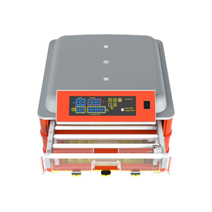 Incubatore di uova di oche di quaglia hhhd 92 Cockatiel in vendita - Product Image 2