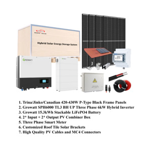<span class=keywords><strong>Growatt</strong></span> ระบบพลังงานแสงอาทิตย์ไฮบริด5KW + 10kWh ระบบเก็บพลังงานแผง440W สีดำทั้งหมด - Product Image 3