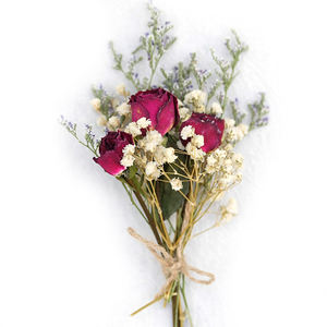 Flor seca MixedSmall Daisy Crisantemo Manzanilla Rodanto Flor - Product Image 3