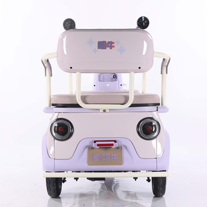 EEC điện ba bánh 1000W mở cơ giới Tuk xe với 48V điện áp 300kg tải trọng Công suất hành khách và hàng hóa tiện ích trimoto - Product Image 3