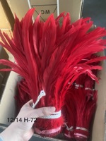 Plume de coq olive de 40-45 cm pour l'artisanat, le bricolage, les costumes, la chapellerie, les accessoires de chapeau, les fêtes, les carnavals, les décorations de mariage