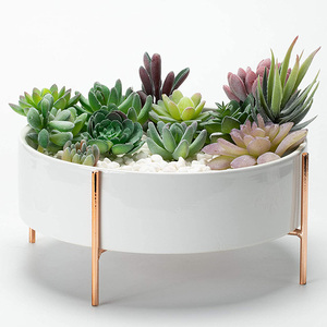 Nuovo <span class=keywords><strong>Vaso</strong></span> per Bonsai <span class=keywords><strong>in</strong></span> Ceramica <span class=keywords><strong>da</strong></span> 10 Pollici con Drenaggio, Rotondo, Effetto Marmo, per Cactus, <span class=keywords><strong>Fiori</strong></span> e Piante, <span class=keywords><strong>Vaso</strong></span> Decorativo per Casa e Giardino - Product Image 1