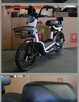 Scooter électrique 48V 500W, 20 pouces, pneu à vide, moteur à moyeu arrière, électronique, 2 places pour adultes