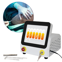 Machine de liposuccion Vaser Endolaser Lifting du visage 980nm Diode Laser Body Slimming Machine