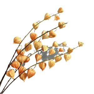 Ramo <span class=keywords><strong>de</strong></span> Plantas <span class=keywords><strong>de</strong></span> Linterna China para Decoración <span class=keywords><strong>de</strong></span> Oficina, Jardín y Hogar, Personalizable, Imitación <span class=keywords><strong>de</strong></span> Flor Artificial, Planta Artificial - Product Image 6