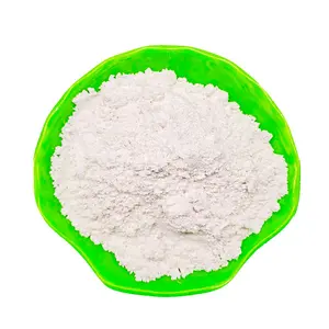 diatomite filter aid mineral diatomite calcined diatomite