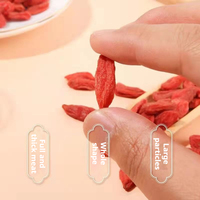 Authentieke Ningxia Wolfberry 500g in PE-zak, traditioneel kruidenfruit voor het zetten van thee en het maken van soep