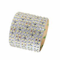 Tira de LED Súper Ancha Personalizable de 2/3/4 Filas, Bajo Voltaje DC12V 24V, Chip LED de Marca SMD2835 3528 5050 Opcional, 3 Años de Garantía