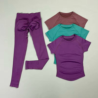 2Pcs Set Fitness Wanita Elastis Tinggi Tanpa Jahitan Atasan Lengan Pendek Legging Pinggang Rendah Kontrol Perut Pengangkat Bokong Yoga Gym