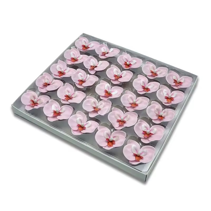 แกนสีแดงอมม่วงอ่อน