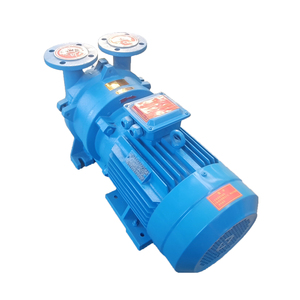 Pompe à vide horizontale à anneau à faible teneur en fer BOYUAN série 2BV 2BV5161, débit de pompage 8,33 m³/min, économie d'énergie, garantie 1 an - Product Image 5