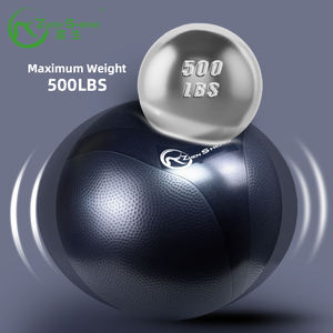 Pelota de Ejercicio de PVC Ecológica Personalizada con Color y Logotipo de Zhensheng, Pelota de Yoga, Pelota de Fitness al por Mayor - Product Image 2