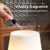 Diffuseur d'huiles essentielles, grand humidificateur à brume fraîche, lumières nocturnes pour chambre à coucher, diffuseur d'arômes LED