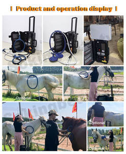 <span class=keywords><strong>Prix</strong></span> usine vétérinaire équin Pemf Machine dispositif de thérapie magnétique équipement de soins de cheval pour le soulagement de la douleur et la guérison - Product Image 5