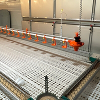 Système d'alimentation automatique en chaîne pour volailles, élevage de poulets, système d'alimentation en chaîne pour poulets de chair et reproducteurs