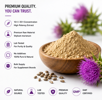 Extrait de Chardon-Marie en Poudre Silymarine 60%-85% UV 30%-70% HPLC – Approvisionnement en Vrac pour les Marques de Compléments Alimentaires