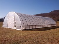 Serre agricole à portée unique Bon marché Durable culture hydroponique Cadre galvanisé Tunnel Film plastique Serre