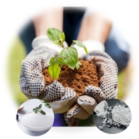 Agent de rétention d'eau et de conservation des sols en polymère agricole super absorbant