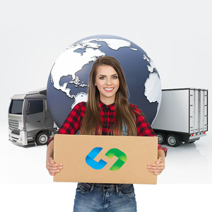 알리 가장 저렴한 바다화물 운송업자 뜨거운 판매 배송 요금 FEDEX DHL UPS 익스프레스 도어 도어 중국 미국 배송 대리점 - Product Image 6