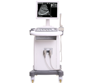 Sonde d'<span class=keywords><strong>échographie</strong></span> numérique intégrale de pointe pour scanner vétérinaire sur chariot – Dispositif de surveillance avancé - Product Image 1