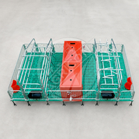Nouvelle cage de mise bas Agricon double face, ensemble complet, galvanisée à chaud, pour truies, avec auge en acier galvanisé de type H, longue durée de vie