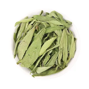 Factory Supply Bulk Health Organic Pure Loose Sweet Stevia Dry Leaf Natural Herbal Dried Stevia Leaves for Tea Extract