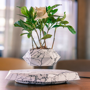 HCNT Maceta Magnética Levitante para Bonsái, Soporte Flotante para Plantas, Decoración de Sala de Estar, Regalo de Boda Único - Product Image 5