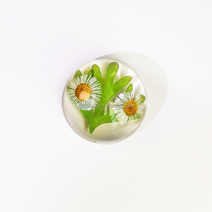 Hecho a mano espécimen planta incrustada recuerdo artesanías resina acrílica Hojas de arce pisapapeles regalo - Product Image 3