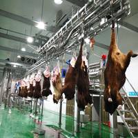 Ligne d'abattage de bovins entièrement automatique et halal, équipement complet pour abattoir de bovins, projet clé en main