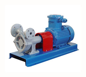 핫 세일 터빈 펌프 탱크 펌프 LPG 용 모터 하이 퀄리티 장착 HLW LPG 펌프 - Product Image 1