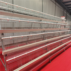 Jaulas de gallinas ponedoras multinivel de tres a cuatro niveles con comederos verdes/blancos para pollos - Suministro del fabricante - Product Image 5