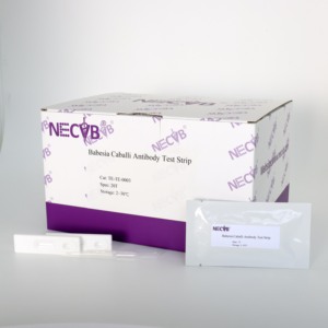 Babesia Caballi แผ่นทดสอบแอนติบอดี้อย่างรวดเร็วการทดสอบการไหลด้านข้างของหลอดฟลูออเรสเซนต์สำหรับ Equine piroplasmosis - Product Image 1