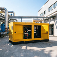 Groupe électrogène au gaz refroidi par eau super silencieux de 250 kW, alternateur sans balais ATS, groupe électrogène de secours industriel au gaz
