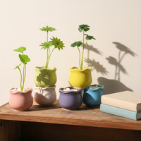 Mini ensemble de 6 pots en céramique pour plantes succulentes, jolis pots de fleurs créatifs en porcelaine pour cactus, décoration intérieure de bureau et de balcon, vente flash