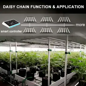 Barra de luminária para plantas médicas de ervas, LED de alto espectro vermelho distante comercial Samsung com paridade de 2,8 umol, personalizada para cultivo de luzes LED de 720W