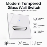 Interruptor de Pared Niva con Botón Pulsador, Diseño Moderno, Interruptores y Enchufes con Panel de Vidrio, Home Assistant, Estándar del Reino Unido