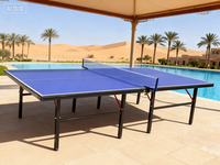 Offre directe d'usine Table de ping-pong d'entraînement de 15mm étanche à l'extérieur