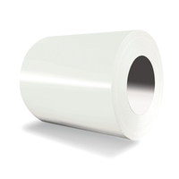 Bobina de Acero Galvanizado Prepintado PPGI de 0.4-0.5 mm, Estándar ASTM, Color Estándar, Rollo de Metal Recubierto de Color para Techos, Uso en Construcción de Edificios