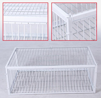 Cage à oiseaux portable d'extérieur en fer, design simple et robuste, montage facile, double entrée, boîte de transport galvanisée, toutes saisons, pour animaux de compagnie