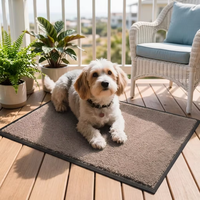 Tapis de porte intérieur anti-poussière Viair, antidérapant, absorbant, résistant à la saleté, tapis d'entrée à profil bas pour entrée