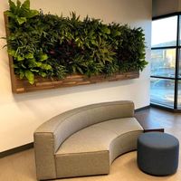 Système de mur vert plateau en plastique salon tenture murale jardinières Vertical jardin vert mur Pots en gros