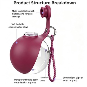 Bouteille d'eau portable pour animaux de compagnie, bol à boire pliable en silicone, anti-fuite, avec sangle de poignet, bouteille d'eau sphérique portable pour animaux de compagnie - Product Image 6
