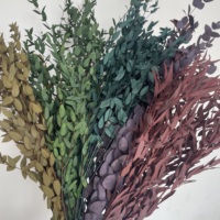 Tiges d'eucalyptus séchées conservées Verdure préservée Véritable Eucalyptus frais exotica Branches de plantes couronne décoration de mariage à la maison