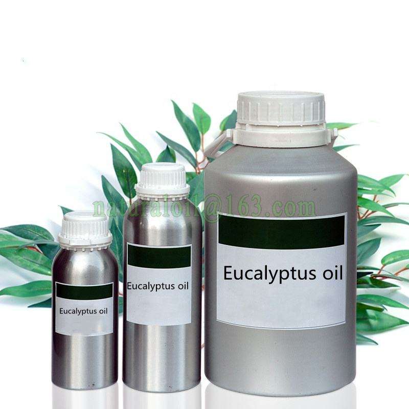 Eucalyptus