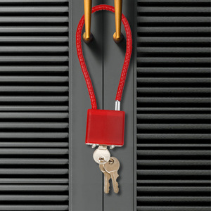 Zhan Han. Candado de Cable Multicolor Levi's Poem Steel Wire, Candado Antirrobo para Archivadores y Gabinetes - Product Image 2