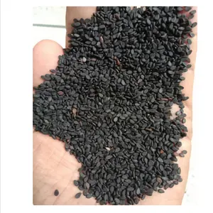 Supply Healthy Chinese Black Sesame Seeds Hulled Organic Oil Sesame Seeds