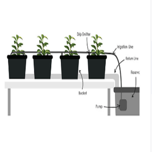 Système de culture hydroponique complet Skyplant Dutch Bucket pour jardin commercial - Product Image 3