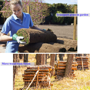 Vier Wielen 500Kg Wielaandrijving Kruiwagen Mini Dumper Wiel Dumper - Product Image 6