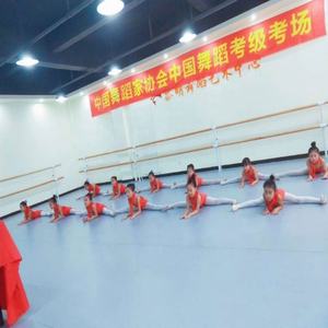 <span class=keywords><strong>Hot</strong></span> Selling Ali-Full-Sexy-<span class=keywords><strong>Vedio</strong></span>-Dance-Vloer Met Lage Prijs - Product Image 3