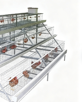 Cage à poules pondeuses de type A avec réservoir d'eau en plastique, installation facile, cage en batterie pour l'élevage avicole